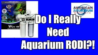 Do I Really Need Aquarium RODI With A Catch [upl. by Chappelka959]