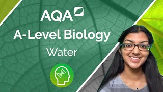 AQA A Level Biology Water [upl. by Gibbeon526]