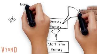 Information Processing Theory Explained [upl. by Nahta595]