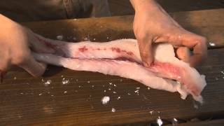 Invasive Carp  Filleting amp Cooking [upl. by Alletnahs]