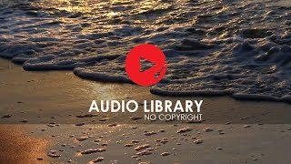 Calm Seashore  No Copyright Sound Effects  Audio Library [upl. by Ecirtaeb851]