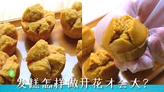 红糖发糕怎样做才会开口大笑？Dark Brown Sugar Fatt Koh【ENG SUB】 [upl. by Ondrea329]