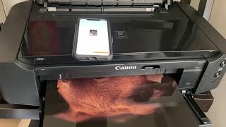 Canon Ip8720 13 x 19 Print Demo [upl. by Eninnaj532]