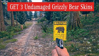 Get 3 Undamaged Grizzly Bear Skins  FAR CRY 5 Gameplay Mission [upl. by Akerue]