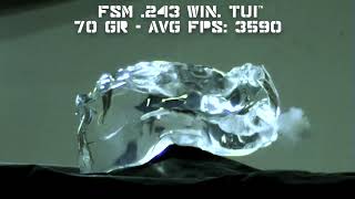 243 Winchester TUI™ vs Clear Ballistics FBI Gel [upl. by Iarahs541]