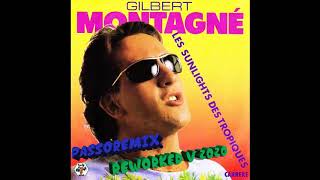 PASSOREMIX Gilbert Montagne Les Sunlights Des Tropiques REWORKED V2020 [upl. by Val]