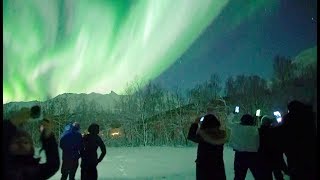 🇳🇴Chasing Lights in Tromsø Norway [upl. by Zumwalt]