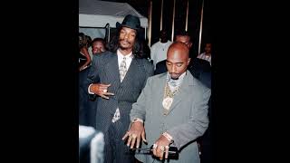 Tha Dogg Pound x 2pac Type Beat  Six Figurez  G Funk 2024 [upl. by Lalita]