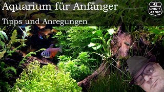 Aquarium für Anfänger und Einsteiger Tipps und Anregungen [upl. by Sudaorb78]