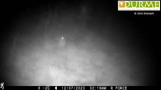 otter in provinciaal domein Puyenbroeck op 7 dec 2023 [upl. by Bryanty]