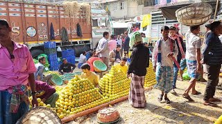 Highlights of a walk through Kolkata India [upl. by Ojahtnamas]