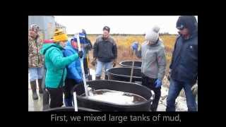 Fish Mesocosm Experiment at the CNSC [upl. by Everard]