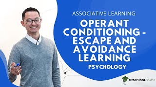 Operant Conditioning – Escape and Avoidance Learning [upl. by Ytsihc]