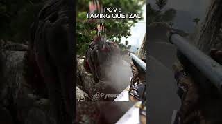 POV TAMING QUETZAL ARK [upl. by Okechuku]