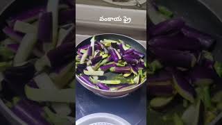 Vankaya fry in telugu  brinjal fry recipe brinjalfry brinjalcurry bainganrecipe [upl. by Aura567]