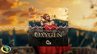 Paige  Oxygen Feat Dr Malinga Official Audio [upl. by Colb]