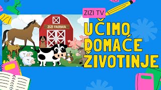 Učimo Domaće Životinje  ZIZI TV edukativni crtići za djecu  Zvukovi zivotinja [upl. by Madda434]