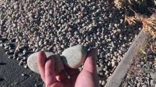 Heres how you can Xeriscape  Landscape your yard [upl. by Manuel]