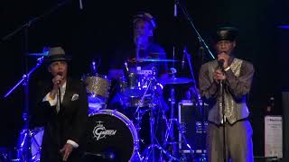 The Selecter  Human Algebra live at Freedom Sounds Festival 2023 [upl. by Leidag459]