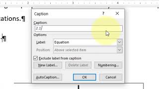 How to put auto numbering to equations in MS Word [upl. by Aitak]