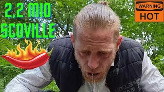 Carolina Reaper Challenge Schärfste Chili der Welt 22 mio Scoville [upl. by Orit]