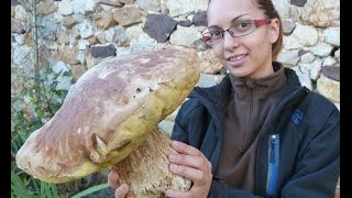 Boletus Edulis XXL gigante MUST WATCHHD😱 [upl. by Allebara841]