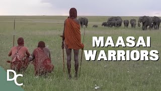 A Look Inside The Last Great Warrior Tribe  The White Maasai Warrior  Documentary Central [upl. by Nerra534]