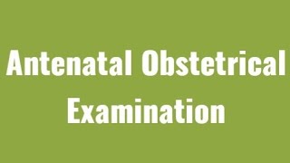 Antenatal assessment Abdominal Examination And Palpation OBG  Nursing Procedure [upl. by Droflim]