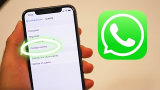 Cómo recuperar una cuenta de WHATSAPP BUSINESS y evitar futuros bloqueos [upl. by Montgomery]