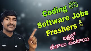 NonCoding IT Jobs for Freshers in Telugu  LuckyTechzone [upl. by Anais]