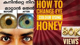 How to Change EYE colour using HONEY  Experiment in Malayalam [upl. by Kelila310]