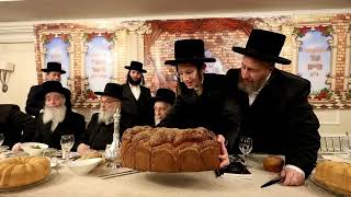 Liska Bar Mitzvah 2023  שמחת הבר מצוה בחצר הקודש ליסקא [upl. by Samson]