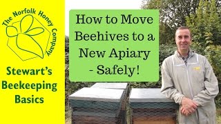 How To Move a Beehive to a new Apiary  Beekeeping Basics  The Norfolk Honey Co [upl. by Edmund]