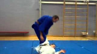 25 Traditional Japanese JiuJitsu Throws [upl. by Janie]