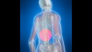 What is Thoracic Back Pain [upl. by Manvel]