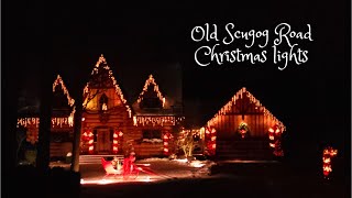 Old Scugog Road Christmas lights 2022 [upl. by Rizan87]