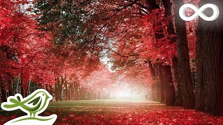 Autumn Colors Beautiful Romantic Music with Piano Cello Guitar amp Violin by Peder B Helland [upl. by Leonid]