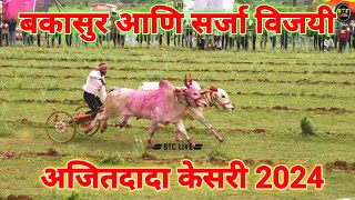 बकासुर आणि सर्जा विजयी  अजितदादा केसरी 2024  bailgada sharyat live  bakasur sharyat [upl. by Meagher]