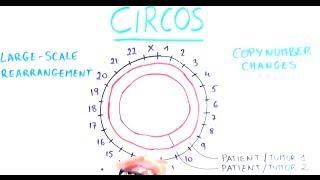 Our genome in a circle [upl. by Ginzburg]