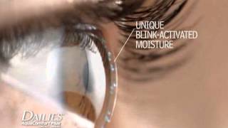 DAILIES® AquaComfort Plus® Contact Lenses [upl. by Akemehs988]