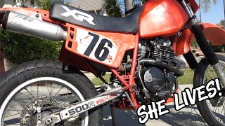 Installing a refreshed head on the 83 XR500R and getting her running [upl. by Siahc]