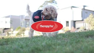 ComFiTec Therapytec Dog Coats  WeatherBeeta Australia amp New Zealand [upl. by Nwahsak32]