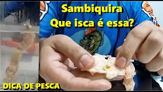 Como iscar e usar a SAMBIQUIRA Pega Peixe [upl. by Ayrolg]