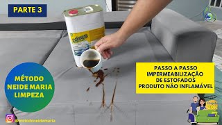 Aula Gratuita  Passo a Passo Impermeabilização de Sofá com produtos da Lótus GampS [upl. by Jannelle298]