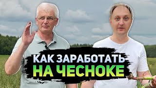 Выращивание ЧЕСНОКА  Все стадии от подготовки почвы до урожая [upl. by Hesther]