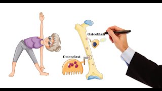 Pharmacology  DRUGS FOR OSTEOPOROSIS MADE EASY [upl. by Vivica25]