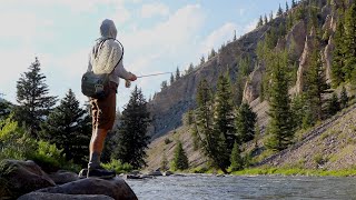 FISHING THE GALLITAN RIVER IN MONTANA [upl. by Waylon]