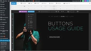 Buttons Usage Guide  Revolution Slider WordPress Plugin [upl. by Tocs182]