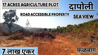 Konkan Properties  17 Acres Agriculture Farm Plot  Dapoli  समुद्र दर्शन प्रॉपर्टी ला पूर्ण रस्ता [upl. by Eggleston]