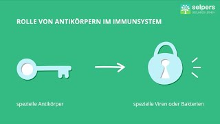 Antigene und Antikörper Experte erklärt [upl. by Nirmak599]